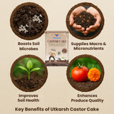 Castor Oil Cake Fertilizer for Plants | Organic Castor Khali Compost Powder for Home Garden, Manure for Flowers, Vegetables & Lawn - Utkarsh Agrochem Pvt ltd. 