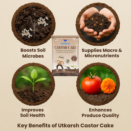 Castor Oil Cake Fertilizer for Plants | Organic Castor Khali Compost Powder for Home Garden, Manure for Flowers, Vegetables & Lawn - Utkarsh Agrochem Pvt ltd. 