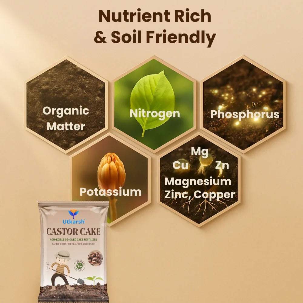 Castor Oil Cake Fertilizer for Plants | Organic Castor Khali Compost Powder for Home Garden, Manure for Flowers, Vegetables & Lawn - Utkarsh Agrochem Pvt ltd. 