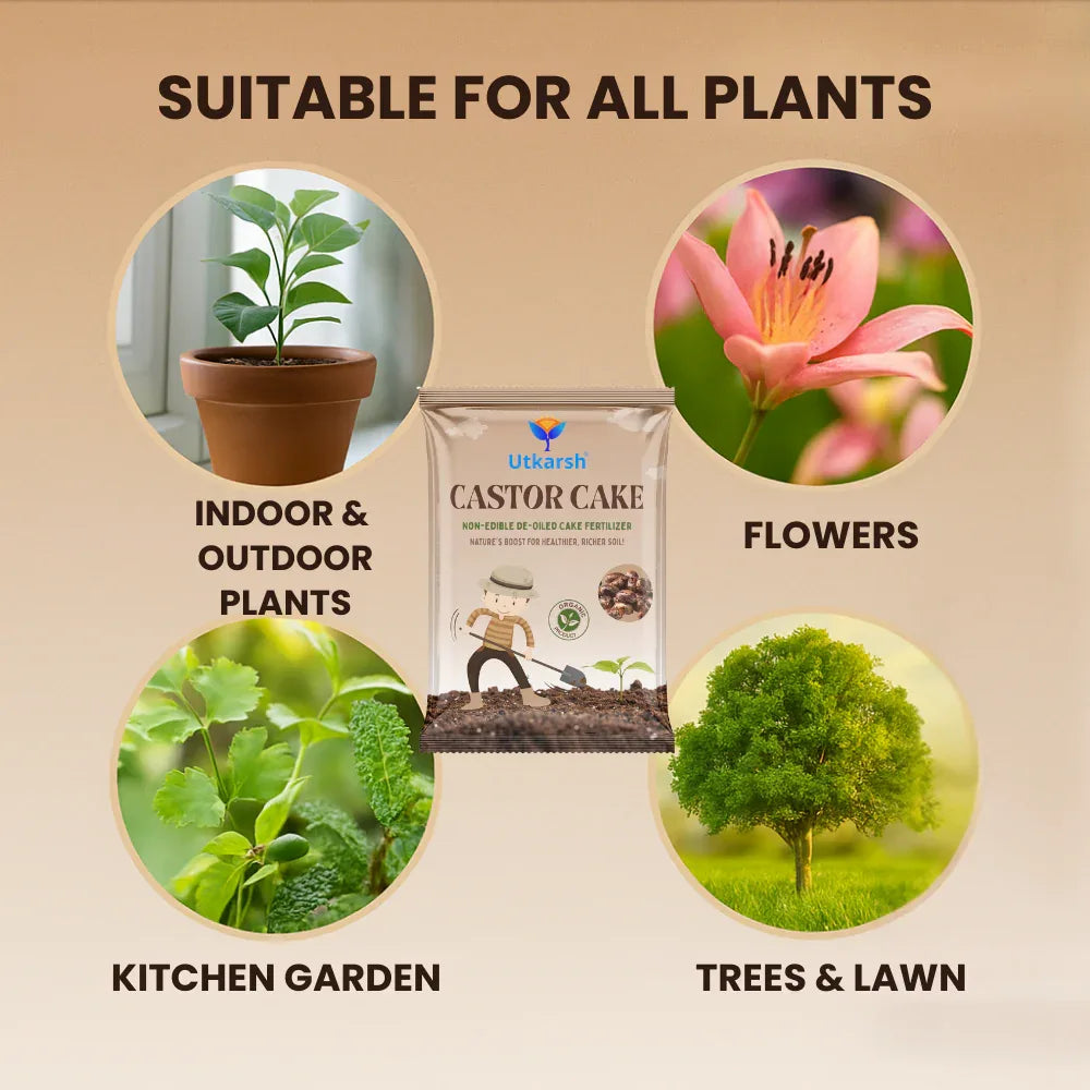 Castor Oil Cake Fertilizer for Plants | Organic Castor Khali Compost Powder for Home Garden, Manure for Flowers, Vegetables & Lawn - Utkarsh Agrochem Pvt ltd. 