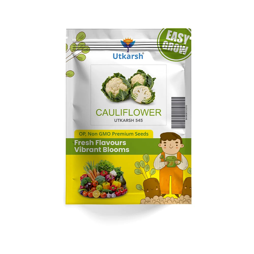 Cauliflower Vegetable Seeds – White (Phool Gobhi) | 400 mg Pack | Easy to Grow for Home, Kitchen & Terrace Gardens