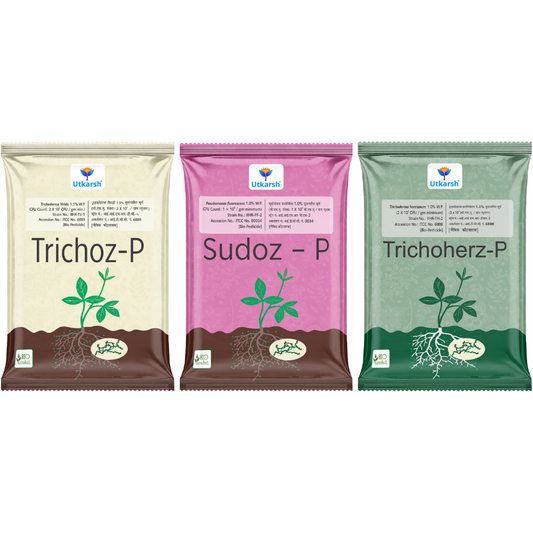 Fungus Control Combo - Trichoz-P  + Trichoherz-P + Sudoz-P