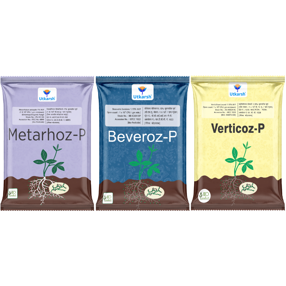 Insect Control Combo - Beveroz-P + Verticoz-P + Metarhoz-P