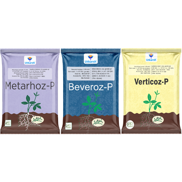 Insect Control Combo - Beveroz-P + Verticoz-P + Metarhoz-P