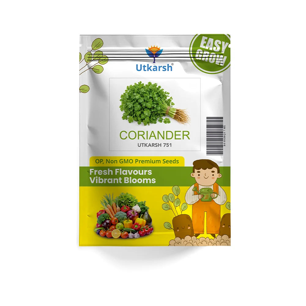 Coriander or Dhaniya Vegetable Seeds (Green, Pack of 6g)