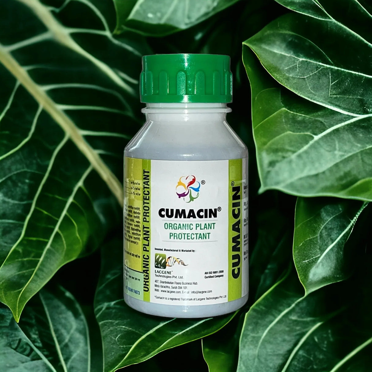 Cumacin - Organic Fungicide and Bacteriacide - Utkarsh Agrochem Pvt ltd. 