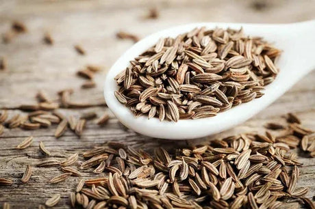 Cumin - Utkarsh Agrochem Pvt ltd. 