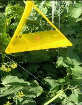Delta Trap (All Flying Pests) - Utkarsh Agrochem Pvt ltd. 