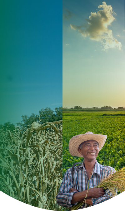Farm Application