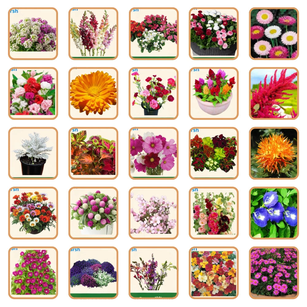 Hybrid Flower Seeds Combo – 50 Varieties | Beautiful Blooming Flowers | All Season Flower Seeds for Home & Garden | Easy to Grow & Low Maintenance | Long Lasting Blooms For Terrace & Balcony