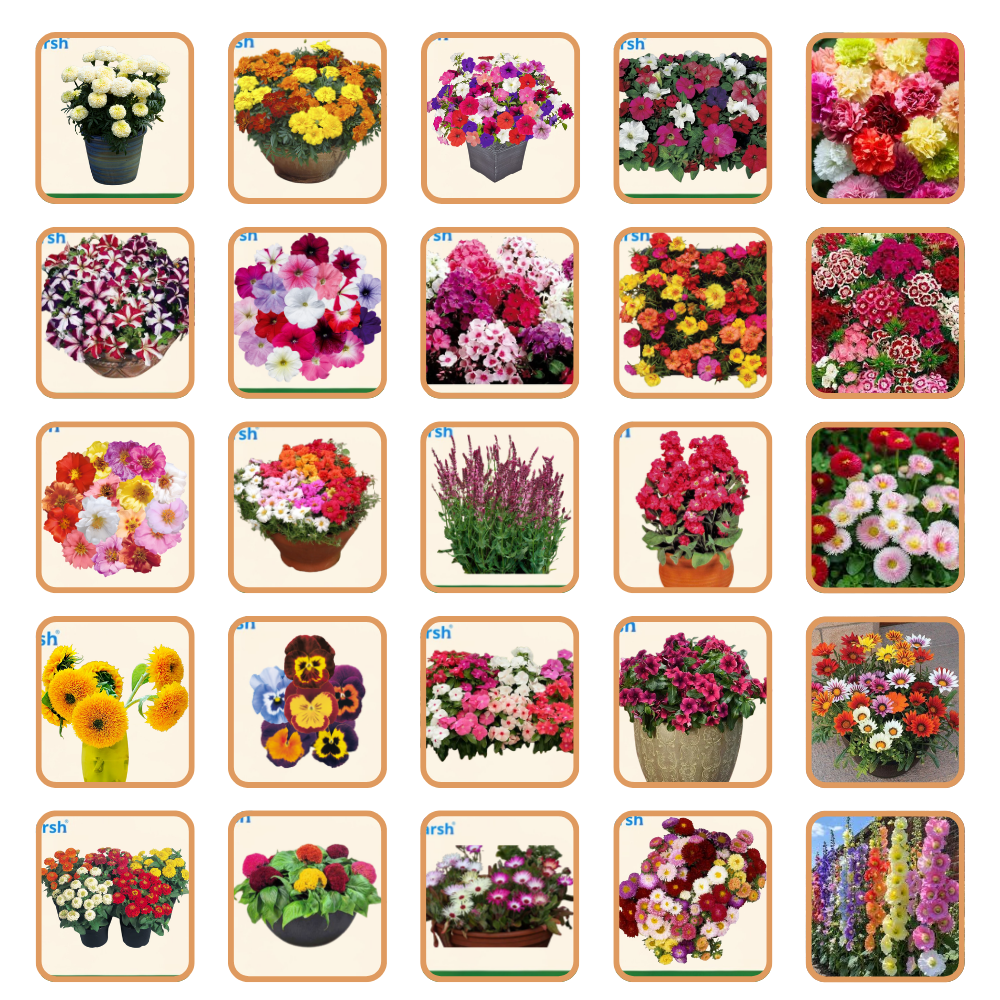 Hybrid Flower Seeds Combo – 50 Varieties | Beautiful Blooming Flowers | All Season Flower Seeds for Home & Garden | Easy to Grow & Low Maintenance | Long Lasting Blooms For Terrace & Balcony