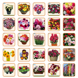 Hybrid Flower Seeds Combo – 50 Varieties | Beautiful Blooming Flowers | All Season Flower Seeds for Home & Garden | Easy to Grow & Low Maintenance | Long Lasting Blooms For Terrace & Balcony