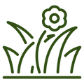 Enhances Flower Set