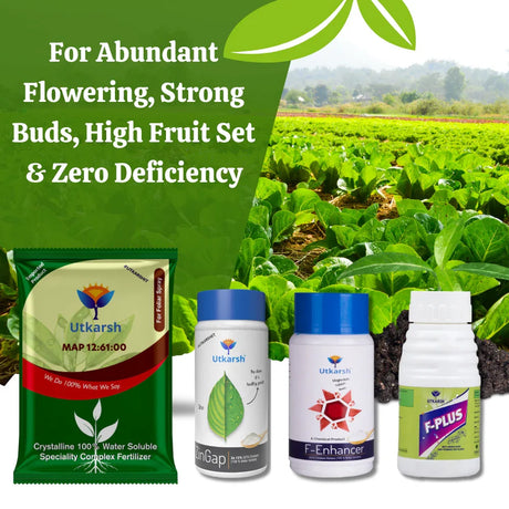 FLOWERING EXCELLENCE COMBO - Abundant Flowering, Strong Buds, High Fruit Set & Zero Deficiency - MAP 12 61 00 (900gm) + F-Enhancer (Ca–Mg–B) (250gm) + F-Plus (Amino Acids) (250ml) + ZinGap (Zinc EDTA) (250gm) (Copy) - Utkarsh Agrochem Pvt ltd. 