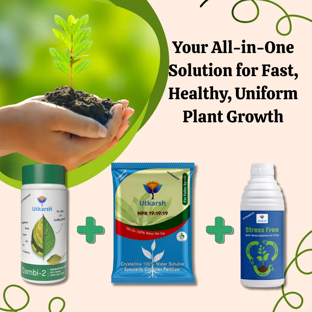 FAST GROWTH & DEVELOPMENT COMBO - Your All-in-One Solution for Fast, Healthy, Uniform Plant Growth - NPK 19:19:19 (250gm) + Combi-2 (EDTA) (250gm) + Stress-Free (250ml) - Utkarsh Agrochem Pvt ltd. 
