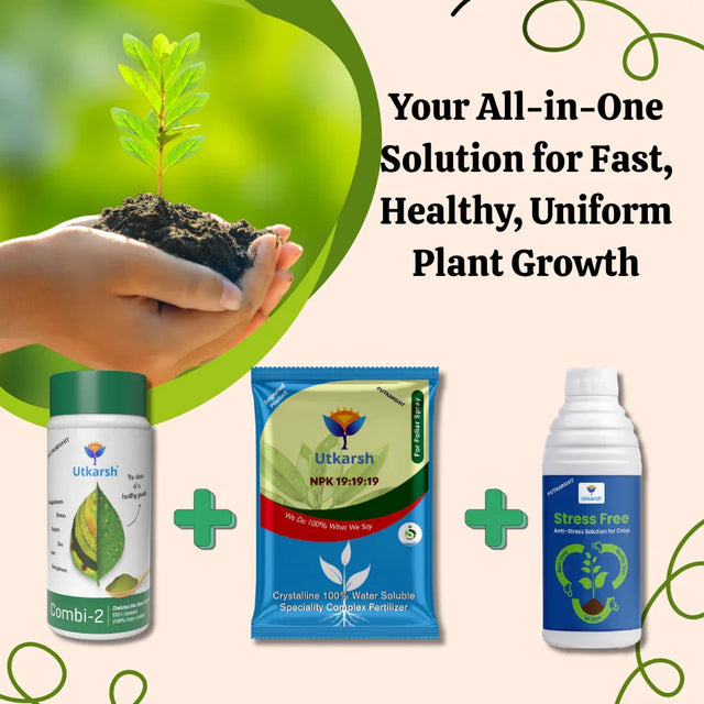 FAST GROWTH & DEVELOPMENT COMBO - Your All-in-One Solution for Fast, Healthy, Uniform Plant Growth - NPK 19:19:19 (250gm) + Combi-2 (EDTA) (250gm) + Stress-Free (250ml) - Utkarsh Agrochem Pvt ltd. 
