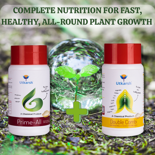 ALL NUTRIENT COMBO - Complete Nutrition for Fast, Healthy, All-Round Plant Growth - Prime All (NPK 10-10-10) + Double Combi (250gm Each)