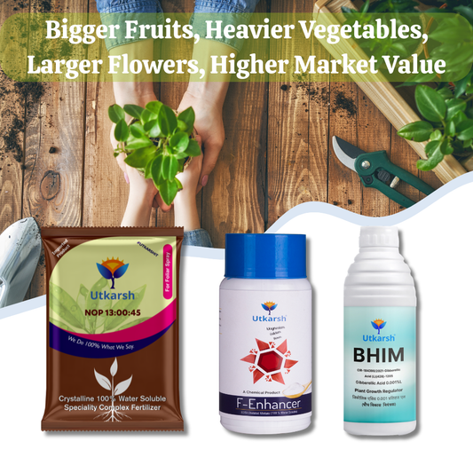 SIZE & WEIGHT BOOSTER COMBO - Bigger Fruits, Heavier Vegetables, Larger Flowers, Higher Market Value - NPK 13-00-45 (900gm) + F-Enhancer (Ca-Mg-B) (250gm) + Bhim (Gibberellic Acid) (250ml)