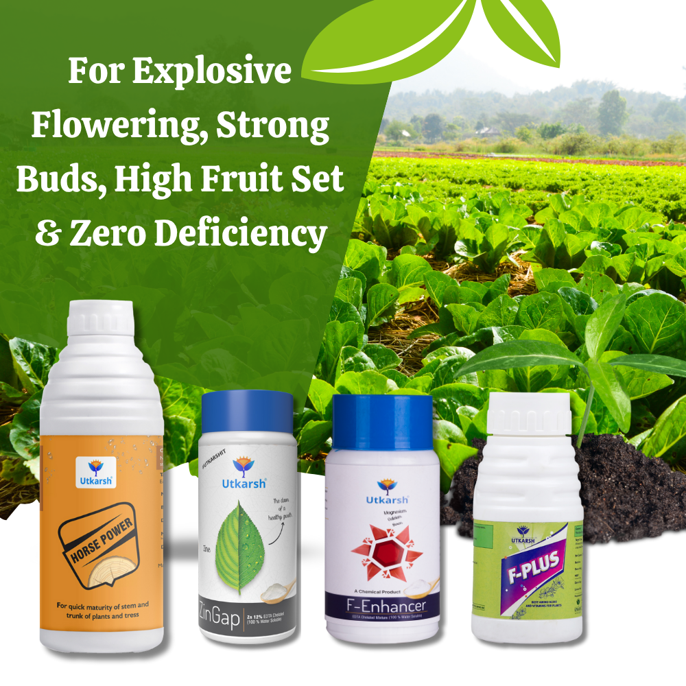 FLOWERING EXCELLENCE COMBO - Explosive Flowering, Strong Buds, High Fruit Set & Zero Deficiency - Horse Power (NPK 10 34 00) (1Ltr) + F-Enhancer (Ca–Mg–B) (250gm) + F-Plus (Amino Acids) (250ml) + ZinGap (Zinc EDTA) (250gm)