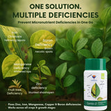 Combi 2 micronutrient fertilizer solving crop nutrient deficiency infographic
