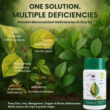 Combi 2 micronutrient fertilizer solving crop nutrient deficiency infographic
