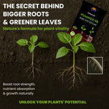 Utkarsh Huminoz-98 Humic Acid (98%) for Plants | Fertilizer for Potted Plants, Home Garden, Growth Enhancer, Soil Conditioner, Improves Root System - Utkarsh Agrochem Pvt ltd. 