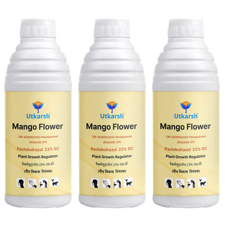 Mango Flower (Paclobutrazol 23% SC) | Plant Growth Regulator - Utkarsh Agrochem Pvt ltd. 