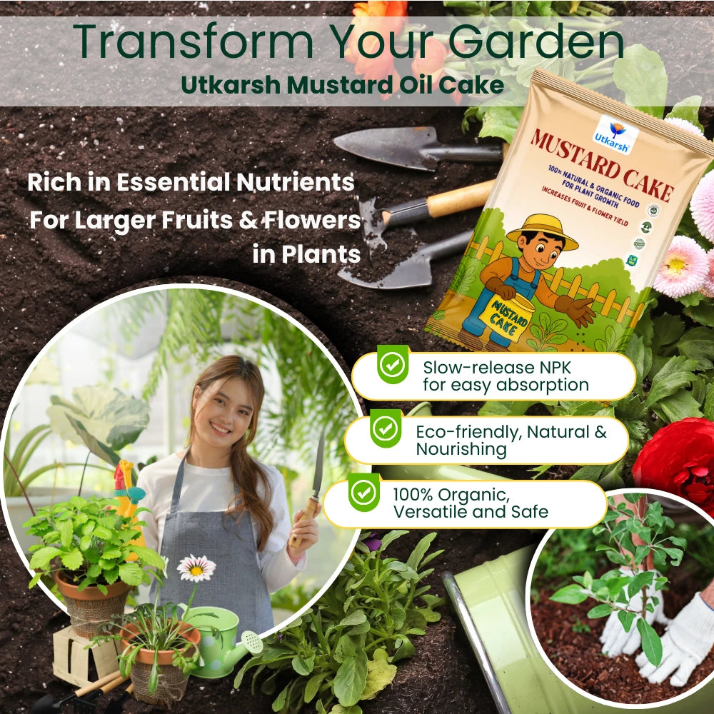 Mustard Cake Fertilizer for Healthy Plants Growth | 100% Pure, Natural & Organic Sarson Khali, Improves Soil Health, Plant Food for Stronger Roots, Bigger Blooms, Healthier Harvests