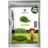Napier Grass Seeds – High-Yield Multi-Cut Fodder Grass for Cow & Goat | 1 Kg Pack | Ideal for Livestock Fodder Farming