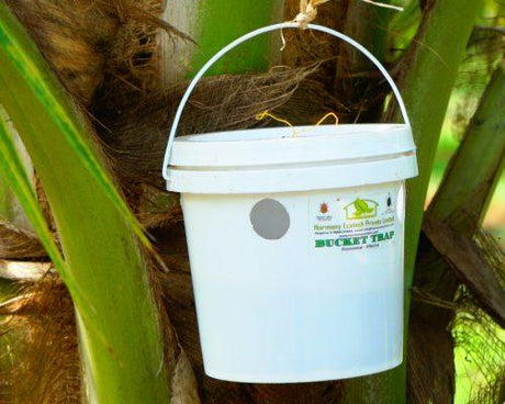 Utkarsh Palm (Bucket) Trap - Utkarsh Agrochem Pvt ltd. 