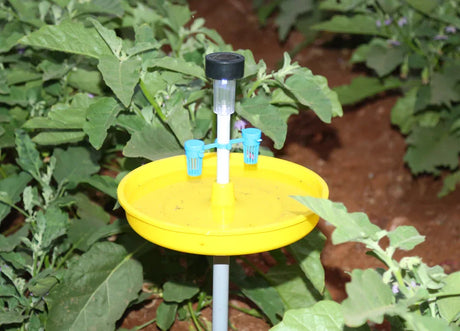 PheroGlo Trap - Utkarsh Agrochem Pvt ltd. 
