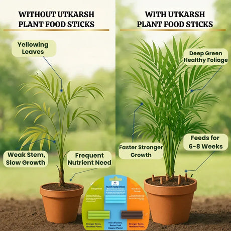 Plant Food Sticks Combo - Root, Foliage & Bloom- Pack of 15 Sticks (5 each) | Natural & Organic Nutrition for All Indoor & Outdoor Home Garden Plants | Multi-Purpose Plant Growth Booster - Utkarsh Agrochem Pvt ltd. 