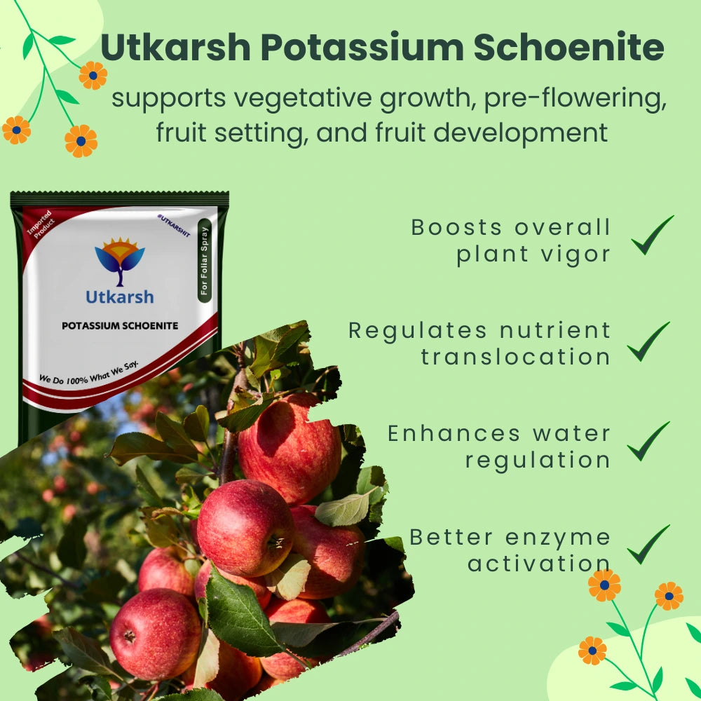 Potassium Schoenite, NPK 00 00 23 Fertilizers for Plants Growth & Home Garden | 100% Water Soluble Powder, Supplement for Fruits & Crops Yields