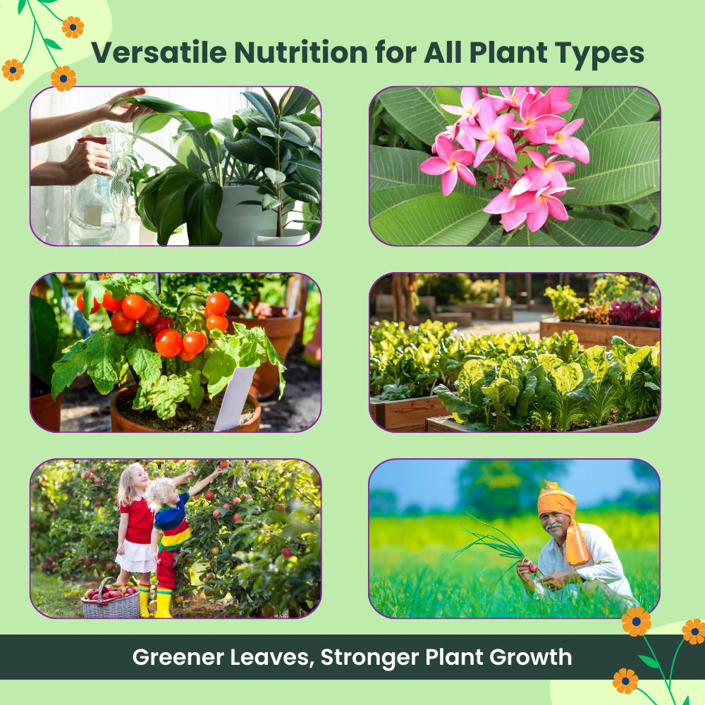 Potassium Schoenite, NPK 00 00 23 Fertilizers for Plants Growth & Home Garden | 100% Water Soluble Powder, Supplement for Fruits & Crops Yields