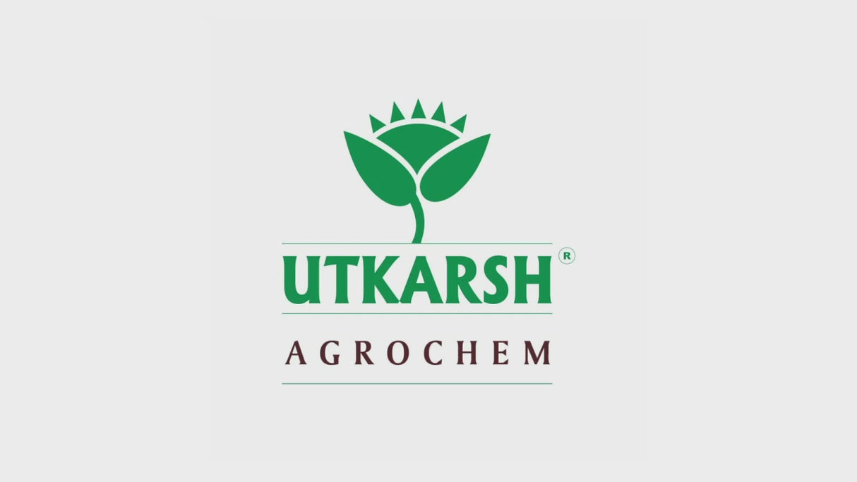 Iron - 12% EDTA Chelated for Plants, 100% Water Soluble Fertilizers, Micronutrients for Vegetables, Fruits, Flowers & Home Garden, Corrects Iron Deficiency | FeGro