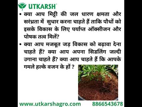 Decompressed Cocopeat Powder, Ready-to-Use Kerala's Coconut Husk Fibre for Home Garden & Potted Plants, Coconut Coir for Potting Soil Mix, 100% Natural Soil Conditioner, High Water Retention