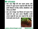 Decompressed Cocopeat Powder, Ready-to-Use Kerala's Coconut Husk Fibre for Home Garden & Potted Plants, Coconut Coir for Potting Soil Mix, 100% Natural Soil Conditioner, High Water Retention