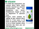 Aquarium EDTA Micro (CSMB) Mix (EDTA Chelated 100% Water Soluble Aquarium Chemical), Provides Robust Growth to Aquarium Plants, Enhances Nutrient Uptake, Safe & Non-toxic