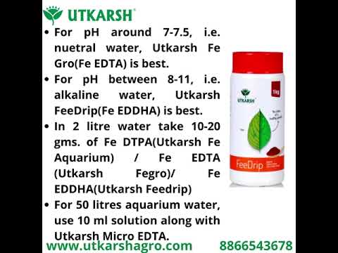 FeeDrip - Fe 6 % EDDHA Chelated (100 % Water Soluble Chemical for Soil Application)