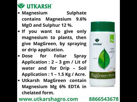 Magnesium - 5% EDTA Chelated Micronutrient, 100% Water Soluble Fertilizers for Plants, Growth Booster for Healthy Green Plants, Crops, Home Garden | MagGreen
