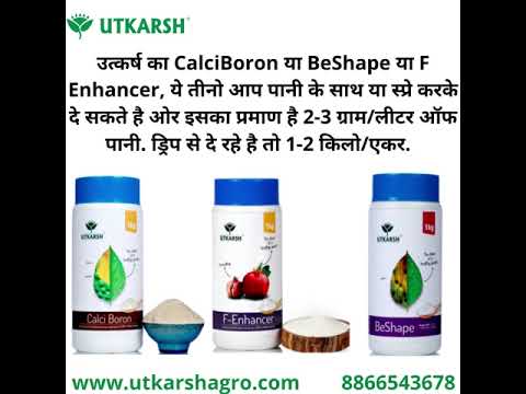 Boron 20% Micronutrient Fertilizer for Plants – Boosts Vegetable, Fruit & Flower Growth | 100% Water Soluble Boron EDTA Chelated Powder for Healthy Garden Plants | (Disodium Octaborate Tetrahydrate) BeShape