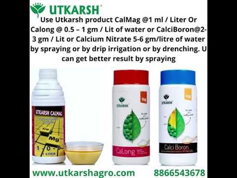 Calcium Nitrate 25kg Price