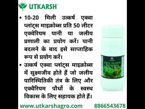 Aqua Plants Microbes for Aquarium and Aquatic Plants