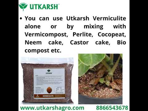 Vermiculite for Home Terrace Garden, Horticulture & Hydroponics 100% Natural, Organic Potting Soil Mix Additive & Nutrient Absorption | Size: 1 - 6 mm