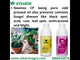 Neemoz-Gold (Azadirachtin E.C. 1% w/w, 10000 ppm) Neem Oil Based Natural Insecticide