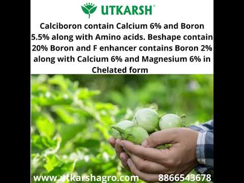 F-Enhancer - EDTA Chelated Mix - Calcium, Magnesium, Boron (100 % Water Soluble Chemical for Foliar Spray)