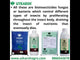 Beauveria Bassiana 1 x 10^8 CFU/ml min. | Western Flower Thrips, Liquid Bio Pesticides for Plants, Home Garden | Beveroz-L