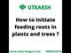 Mycorrhiza Powder with 5000 IP/gm, Bio Fertilizers for Plants, Root Growth, Plant Health Promoter, Home Garden | Vamoz - S