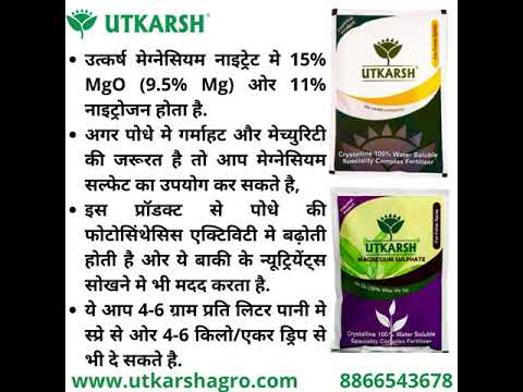 Magnesium Fertilizer