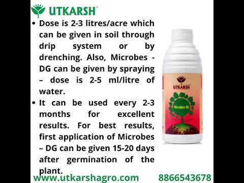 Microbes-DG (Combination of Beneficial Microbes) Bio Fertilizer for Natural NPK, Reduce pH & EC in Soil, Robust Plant Growth & Health, Cost-Effective & Ecofriendly